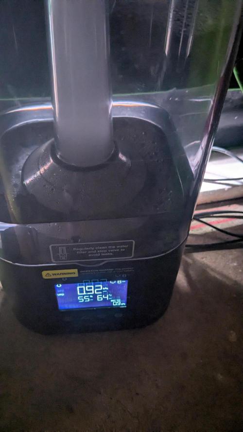 Rainbow Vapor, Key Lime Guava run. Week 10