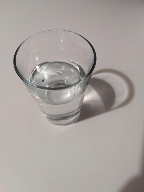 The Tropicana Protocol. Week 0 - Start der Keimung.