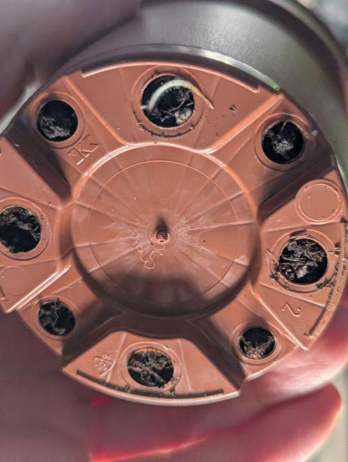 The Phoenix Redemtion: Dry another day. Week 0