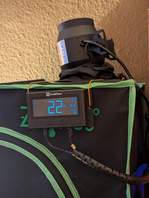 The Phoenix Redemtion: Dry another day. Week 11