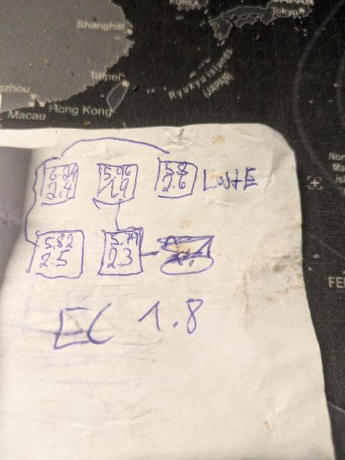 Hybrid bio mineralic jungle madness. Week 3 - crypt week 3 after feeding