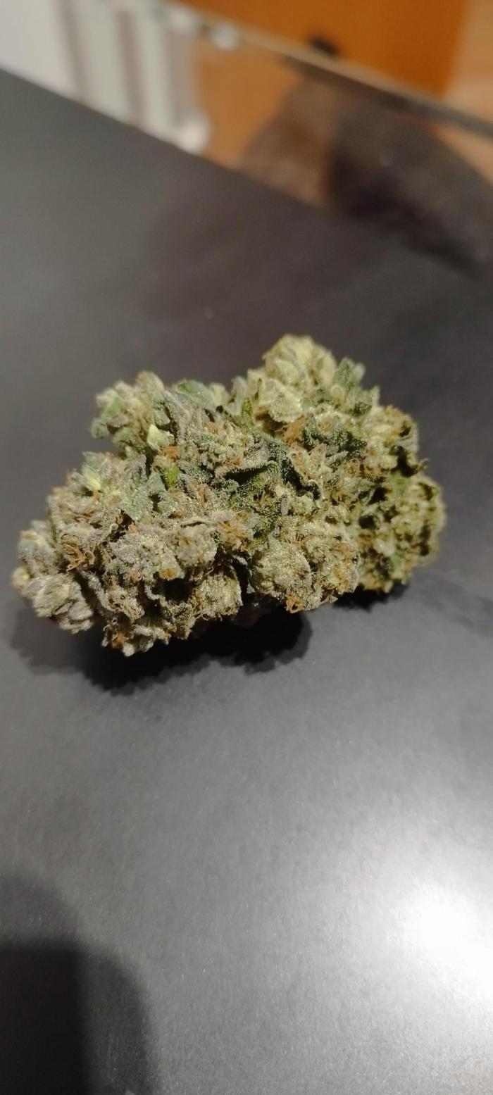 hombreseeds. Week 14