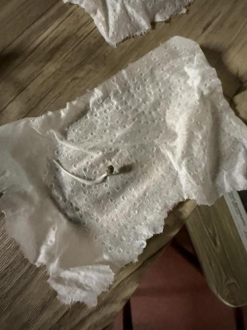 Grape ape and Gorilla purple. Week 0 - 1 Gorilla purple auto 🦍