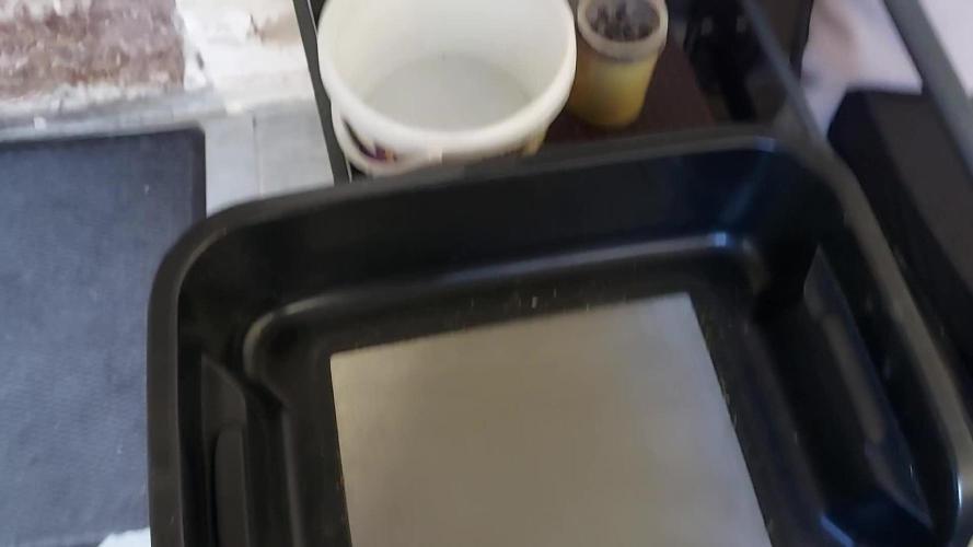 dry de feuille 1 plante