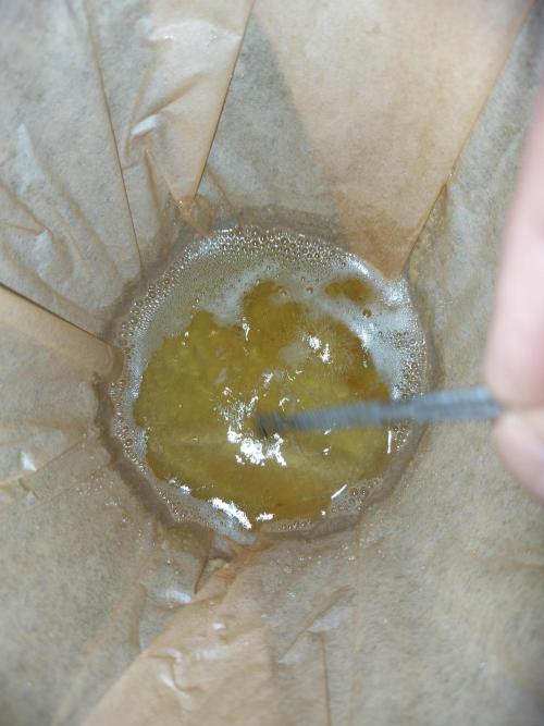 final papaya fast bud. Week 14 - happy new years 