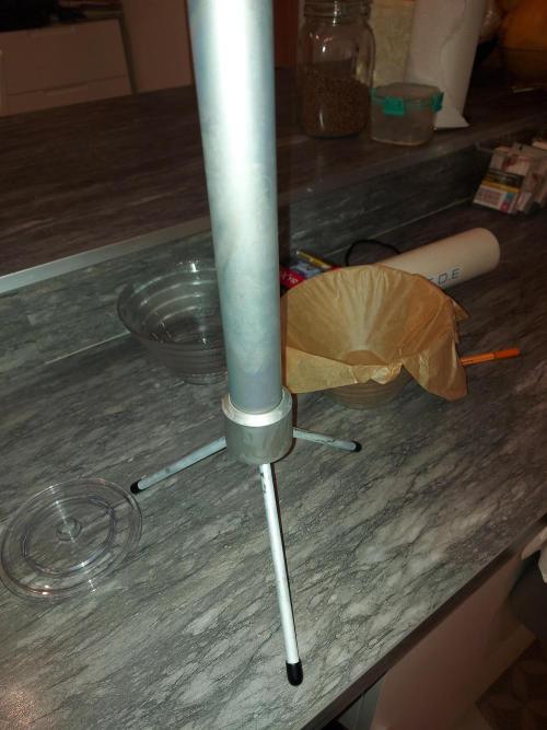 final papaya fast bud. Week 14 - tube a extraction 