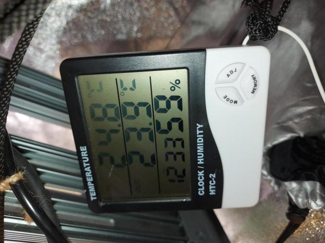 frost banger. Week 2