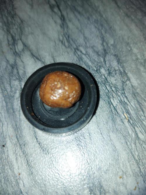 final papaya fast bud. Week 15