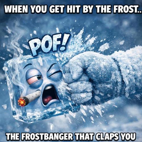 frost banger. Week 1