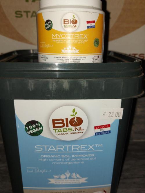 RF3 CHERY COLA. Week 0 - phase germination 
produit biotabs 
- startrex
-mycotrex