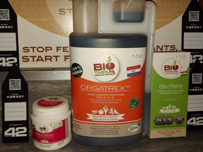 RF3 CHERY COLA. Week 0 - phase vegetative 
produit biotabs
-bactrex
-orgatrex 
-biotabs
