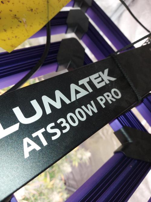 RF3 CHERY COLA. Week 0