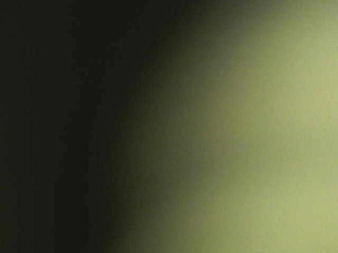 autoflower gorilla cookies fastbud