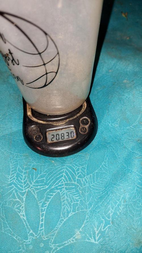 autoflower gorilla cookies fastbud. Week 5