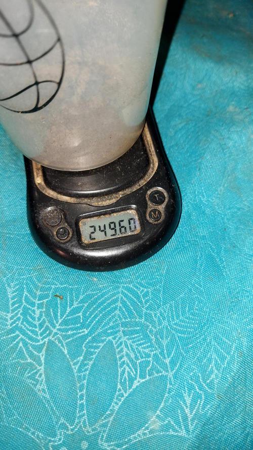 autoflower gorilla cookies fastbud. Week 5