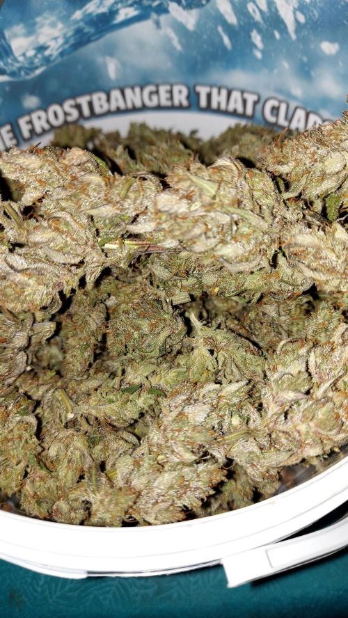 frost banger. Week 5