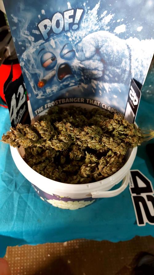 frost banger. Week 5