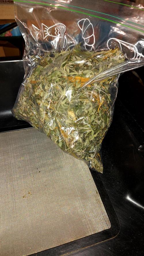 frost banger. Week 5