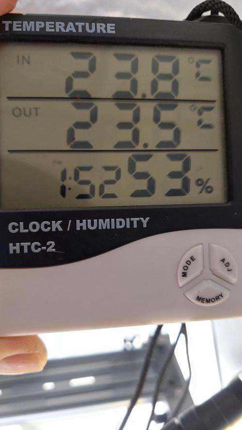 WHAM BOOM 2 AUTOFLORAISON. Week 1