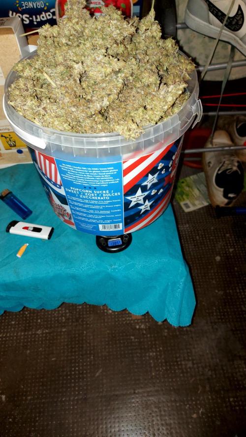 frost banger. Week 10