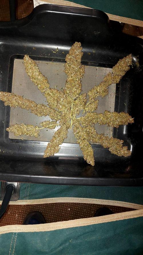 frost banger. Week 10