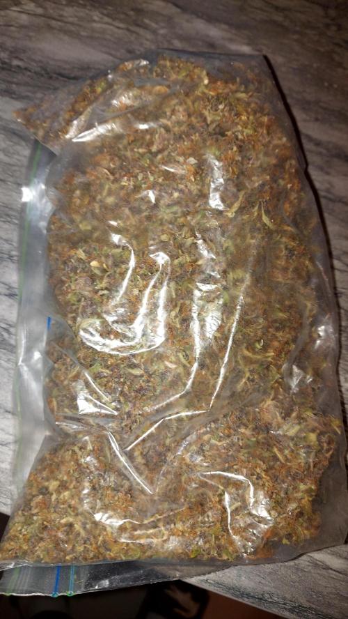 extraction dry shift hasch. Week 1 - matériel 