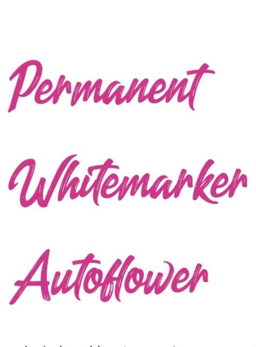 📖  l'Oasis : Permanent White Marker. Week 0