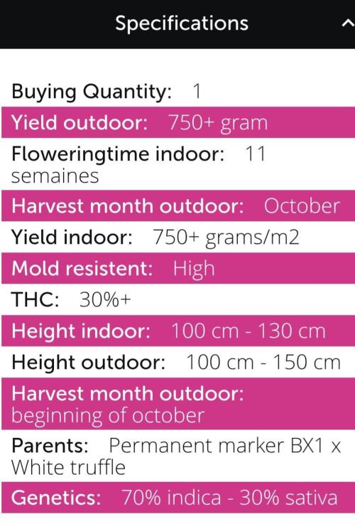 📖  l'Oasis : Permanent White Marker. Week 0