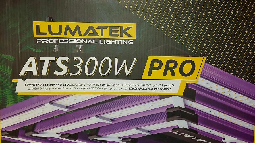 📖  l'Oasis : Permanent White Marker. Week 0 - lampes 