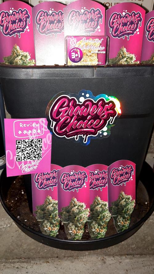 📖  l'Oasis : Permanent White Marker. Week 0 - GROWERS CHOICE 