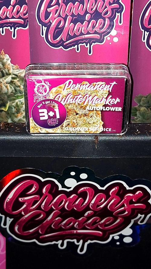 📖  l'Oasis : Permanent White Marker. Week 0 - graine 