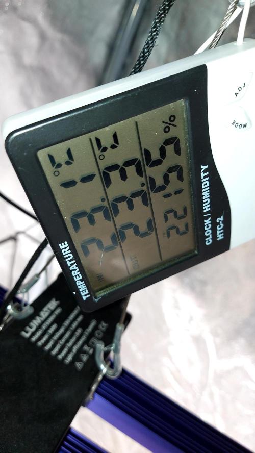 📖  l'Oasis : Permanent White Marker. Week 0