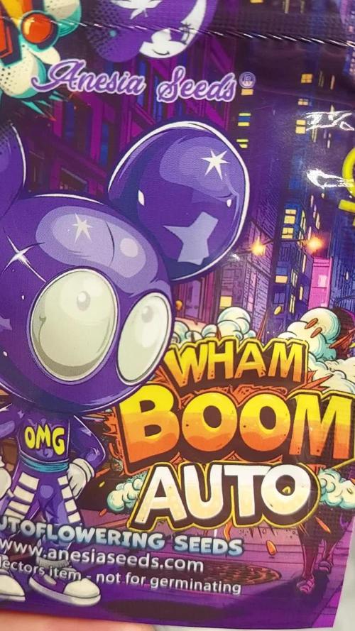 WHAM BOOM 2 AUTOFLORAISON