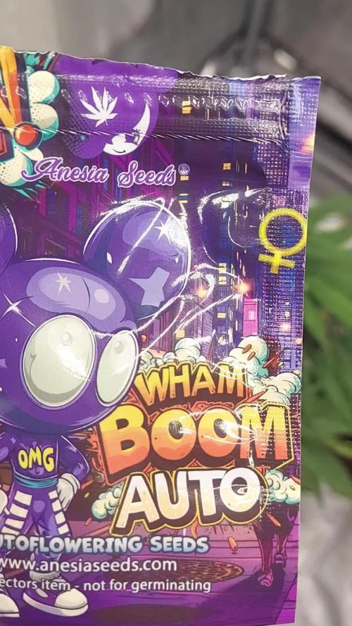 WHAM BOOM 2 AUTOFLORAISON