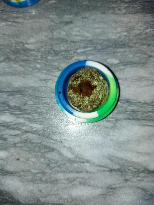#WorldBreedersLab. Week 3