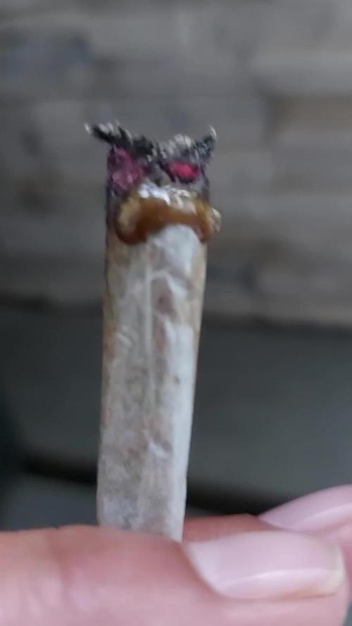 final papaya fast bud
