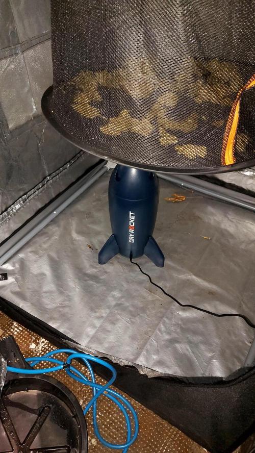 #dryrocket tester contest. Week 2