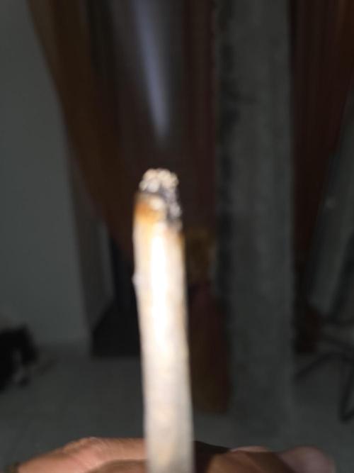 outdoor exp frostbanger 3 ème génération. Week 3
