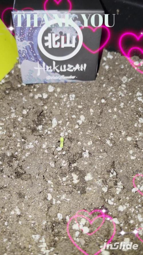 HOKUZAN WORLD BREEDERS BIOTABS