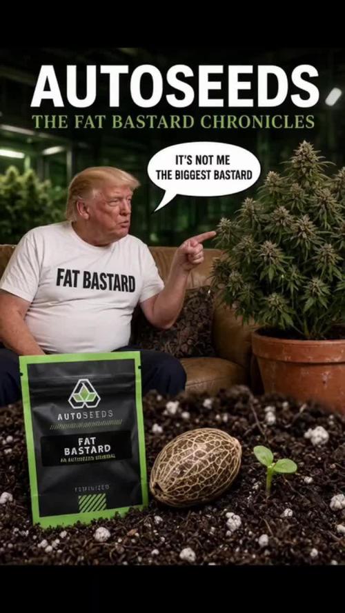 FAT BASTARD AUTO SEEDS  TRUMP