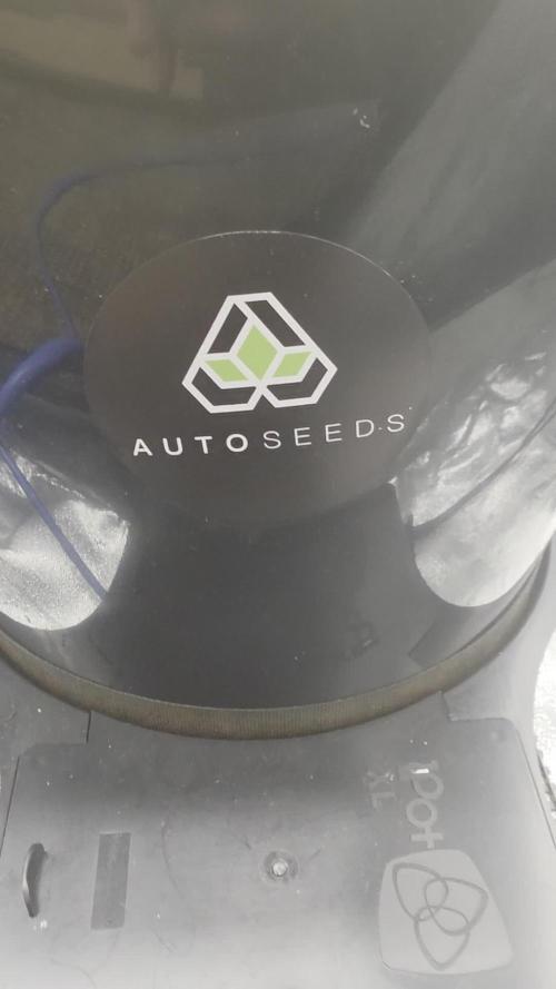 FAT BASTARD AUTO SEEDS  TRUMP