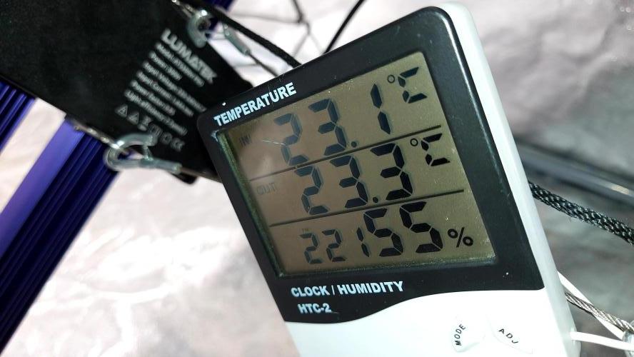 RF3 CHERY COLA. Week 5