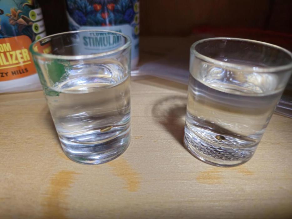 New Year's grow. Week 0 - Putting in watter 27.12.2025.  18:30