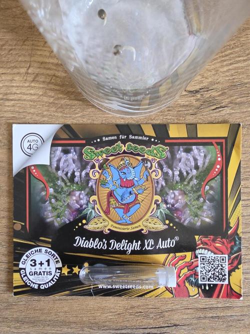 Diablo delight xxl auto. Week 0