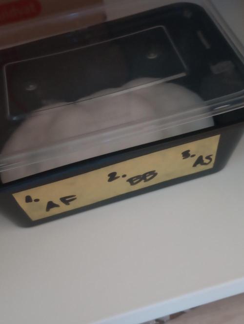 Growbox420. Week 0 - 17-19/12/2025

Etap kiełkowania metodą mokrego ręcznika papierowego.
