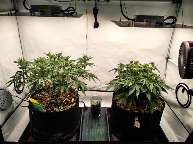 Aufs neue. Week 7 - 27.11
