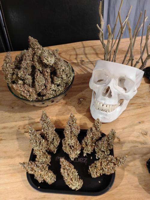 The different ladys. Week 16