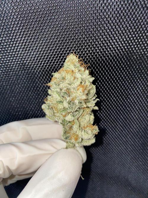 Gorilla Cookies FF X unknown. Week 13 - Main colas dried