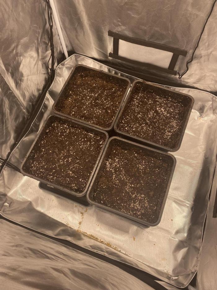 Hindu Kush die Zweite. Week 1