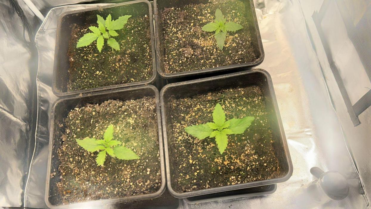 Hindu Kush die Zweite. Week 2